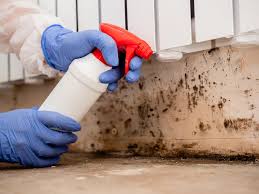 Best Mold Documentation for Insurance Claims  in Moscow, ID